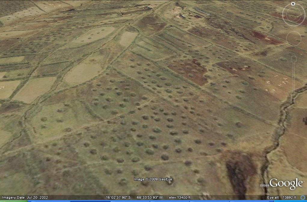 geoglyphs near Tiwanaku