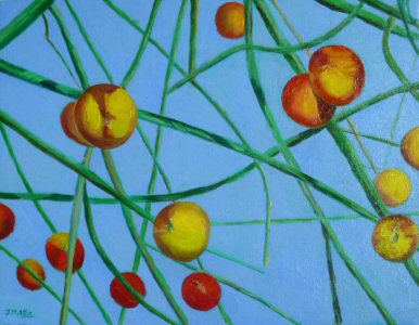 142 apples 18x14