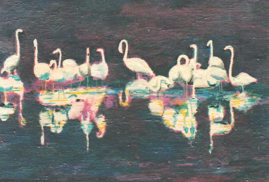27 flamingoes