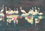 27 flamingoes