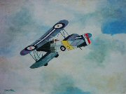 31 biplane