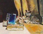 77 cat with mirror