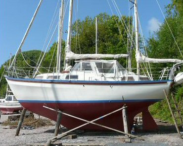 hurley meridian 31