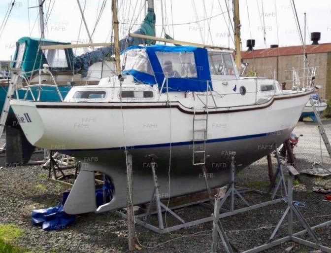 hurley 9.5 sailing