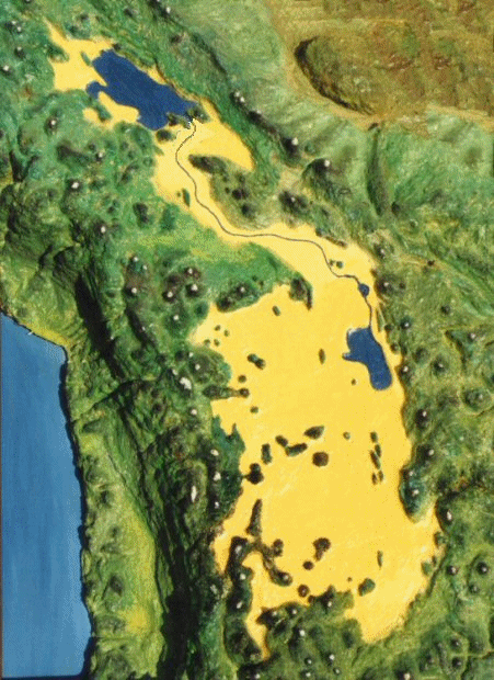 flooding of Altiplano Bolivia
