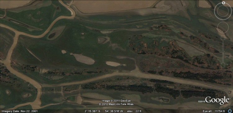 canals ponds amazon