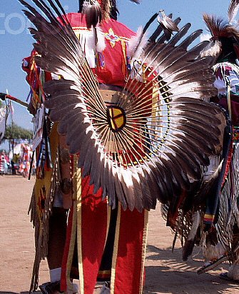 Amazonian circular headdress
