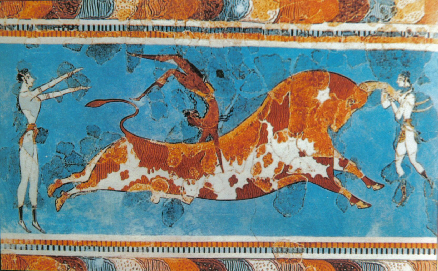 bull leap