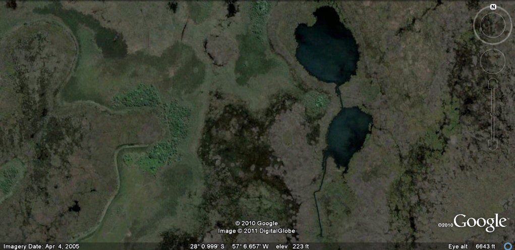 artificial lagoons estero de ibera