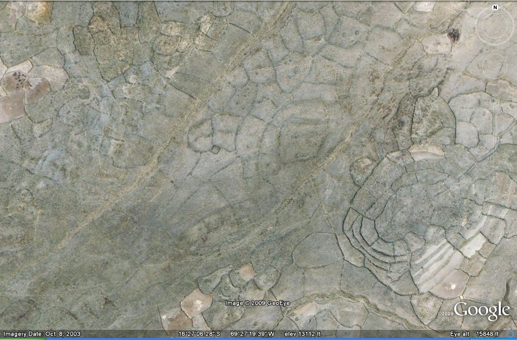irregular field boundareis sw of Tiwanaku