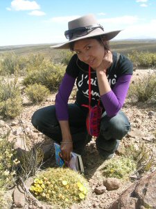 Explorers Inn and Graciela Hostel expeditions