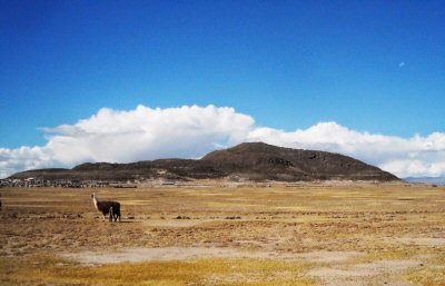 visit Pampa Aullagas