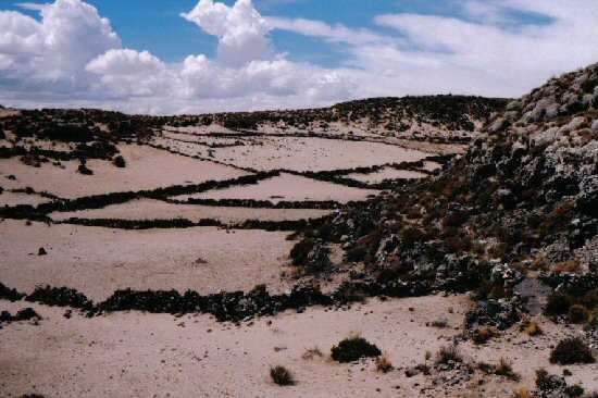 inside one of the circular Atlantic canals at Pampa Aullagas