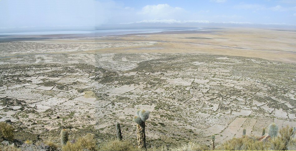 Pampa Aullagas view towards Lake Poopo