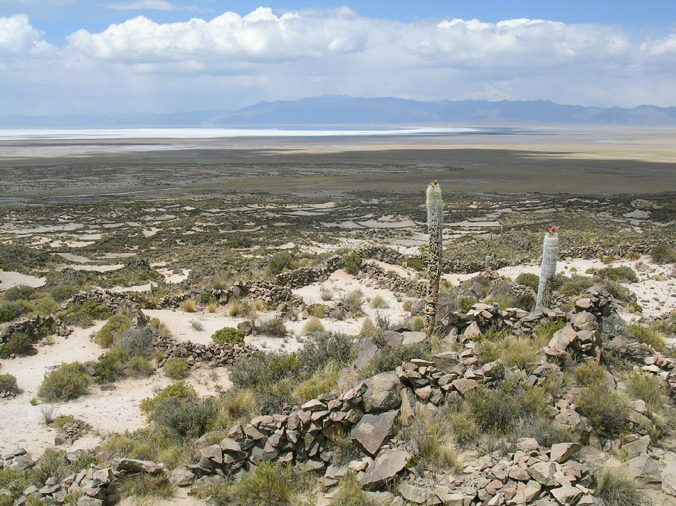 Atlantis Pampa Aullagas looking towards lake Poopo