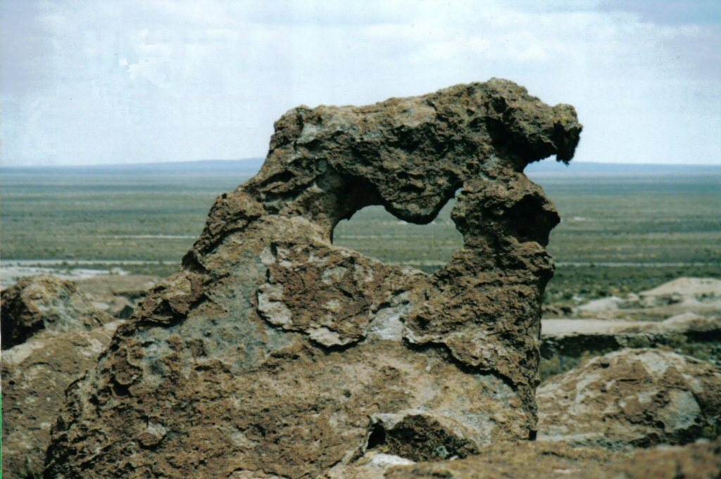 stone buffalo Pumiri