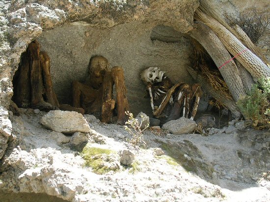 alcaya mummies
