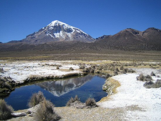sajama